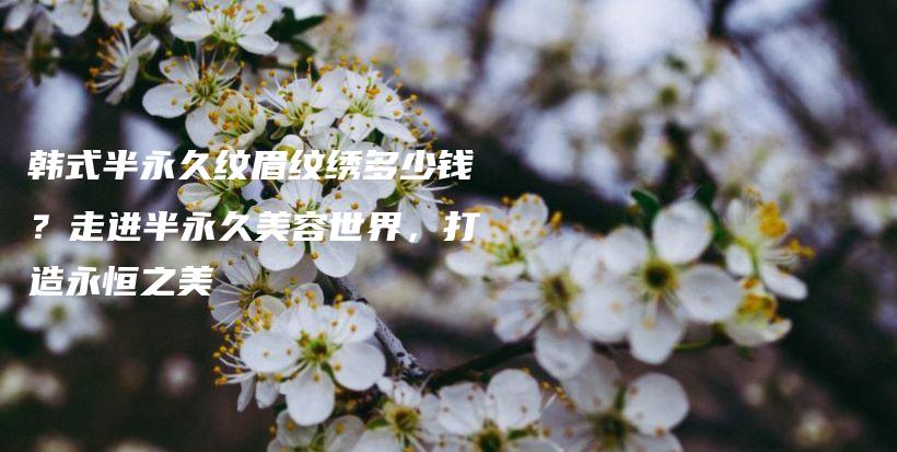韓式半永久紋眉紋繡多少錢(qián)？走進(jìn)半永久美容世界，打造永恒之美插圖