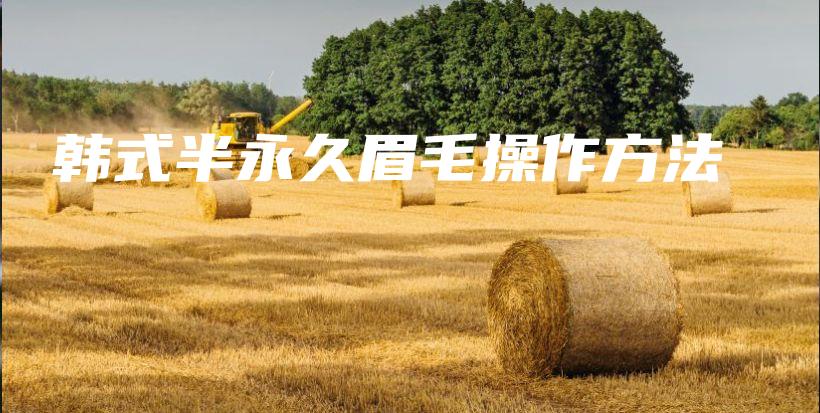 韓式半永久眉毛操作方法插圖
