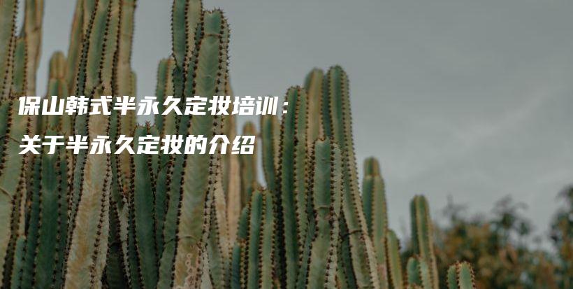 保山韓式半永久定妝培訓(xùn)：關(guān)于半永久定妝的介紹插圖