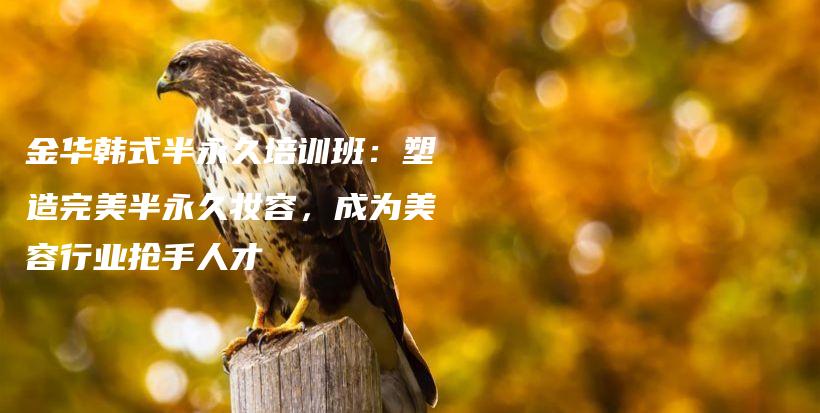 金華韓式半永久培訓(xùn)班：塑造完美半永久妝容，成為美容行業(yè)搶手人才插圖