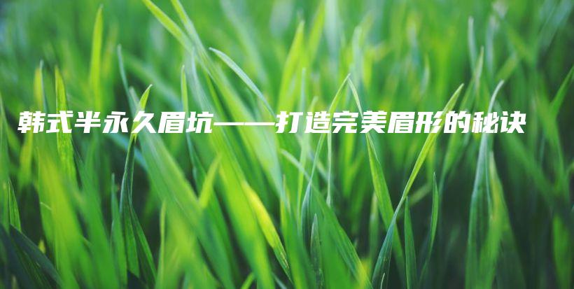 韓式半永久眉坑——打造完美眉形的秘訣插圖