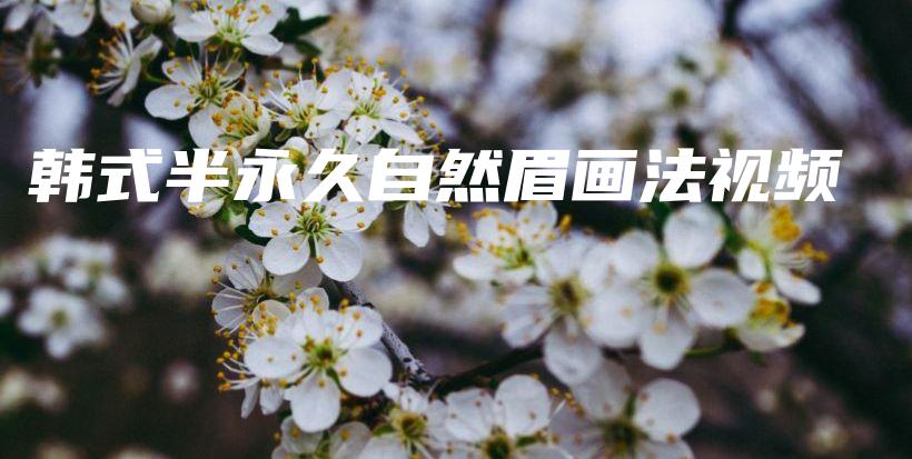 韓式半永久自然眉畫(huà)法視頻插圖