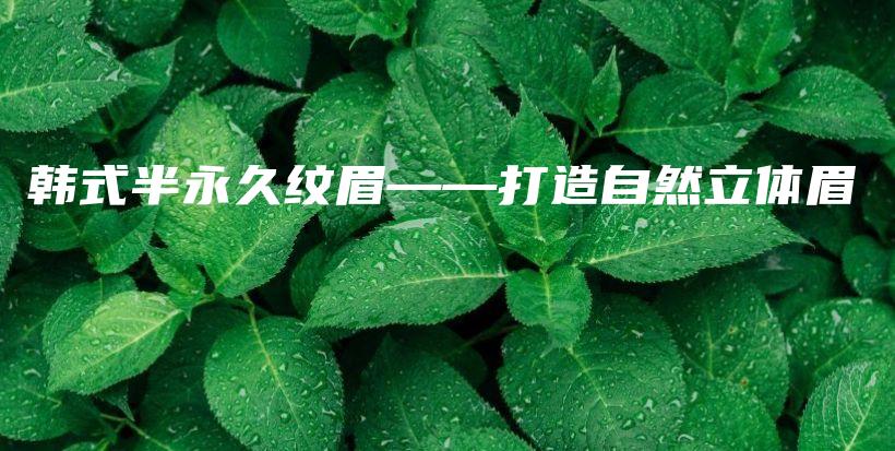 韓式半永久紋眉——打造自然立體眉插圖