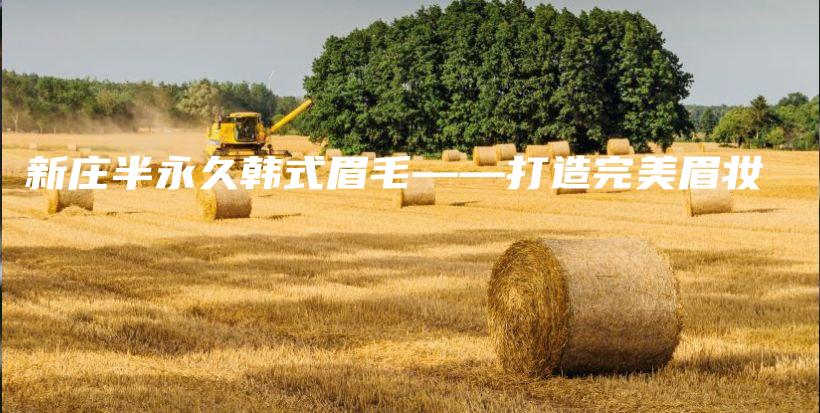 新莊半永久韓式眉毛——打造完美眉妝插圖