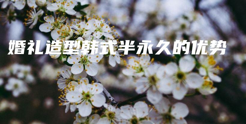 婚禮造型韓式半永久的優(yōu)勢(shì)插圖