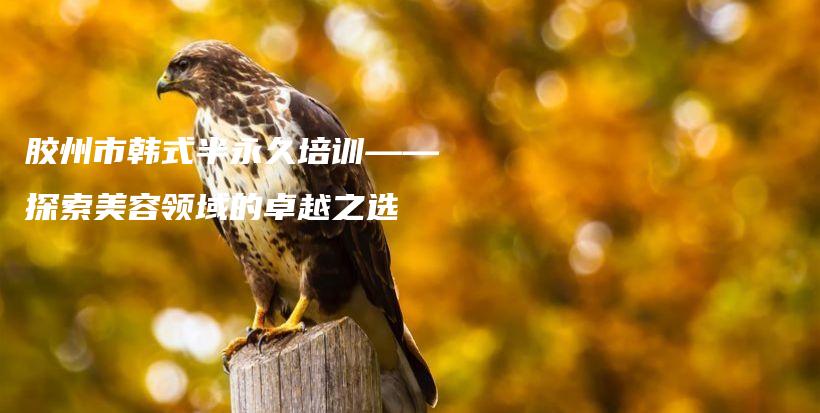 膠州市韓式半永久培訓(xùn)——探索美容領(lǐng)域的卓越之選插圖