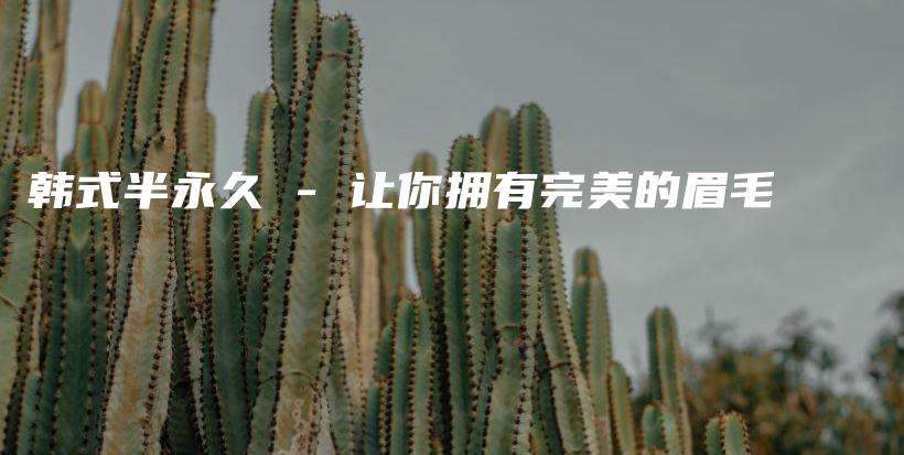 韓式半永久 – 讓你擁有完美的眉毛插圖