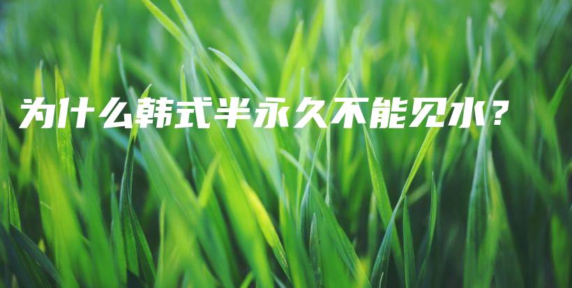 為什么韓式半永久不能見水？插圖