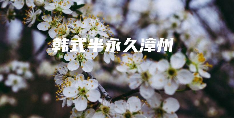 韓式半永久漳州插圖