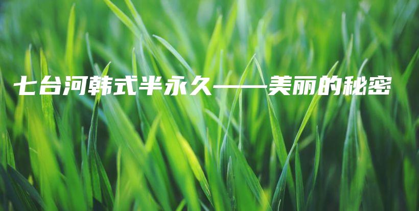 七臺河韓式半永久——美麗的秘密插圖