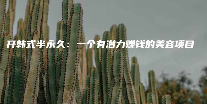 開韓式半永久：一個有潛力賺錢的美容項(xiàng)目插圖