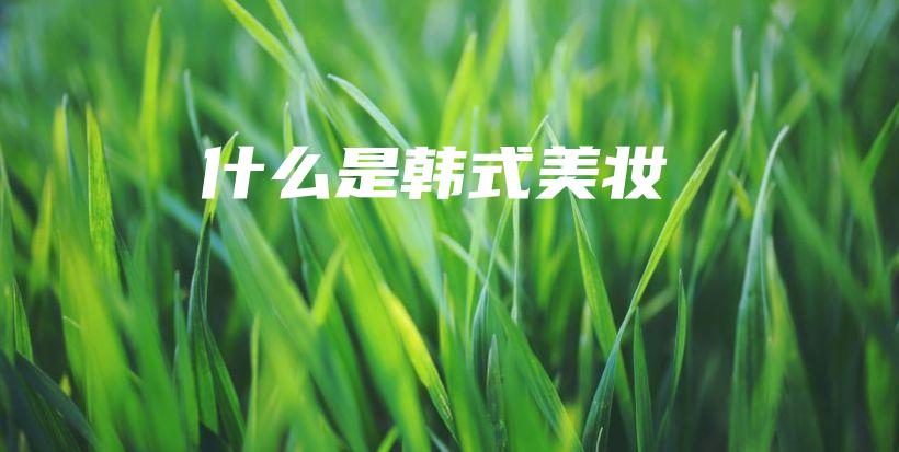 什么是韓式美妝插圖