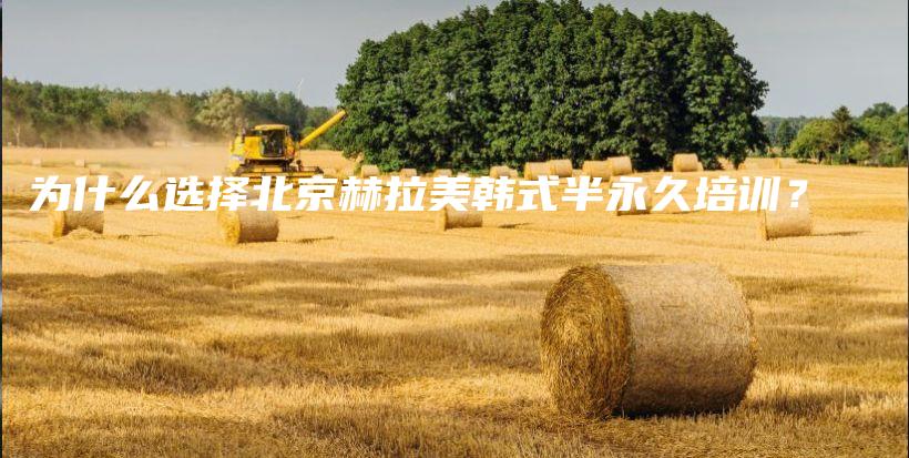 為什么選擇北京赫拉美韓式半永久培訓？插圖