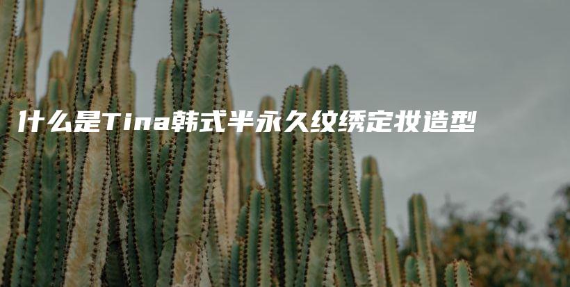 什么是Tina韓式半永久紋繡定妝造型插圖