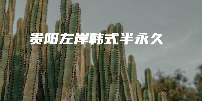 貴陽左岸韓式半永久插圖