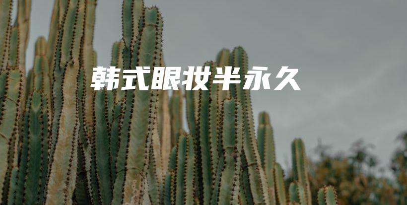 韓式眼妝半永久插圖