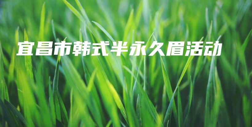 宜昌市韓式半永久眉活動(dòng)插圖