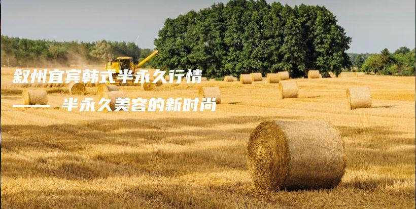 敘州宜賓韓式半永久行情 —— 半永久美容的新時(shí)尚插圖