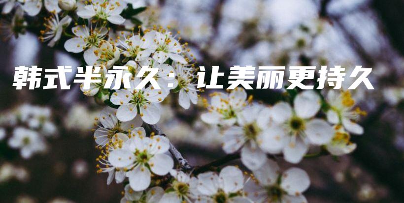 韓式半永久：讓美麗更持久插圖