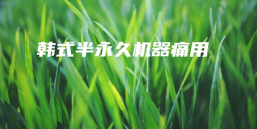 韓式半永久機(jī)器痛用插圖