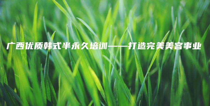 廣西優(yōu)質(zhì)韓式半永久培訓——打造完美美容事業(yè)插圖