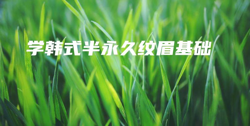 學韓式半永久紋眉基礎(chǔ)插圖