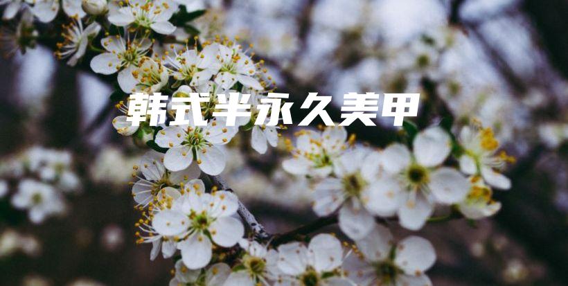 韓式半永久美甲插圖