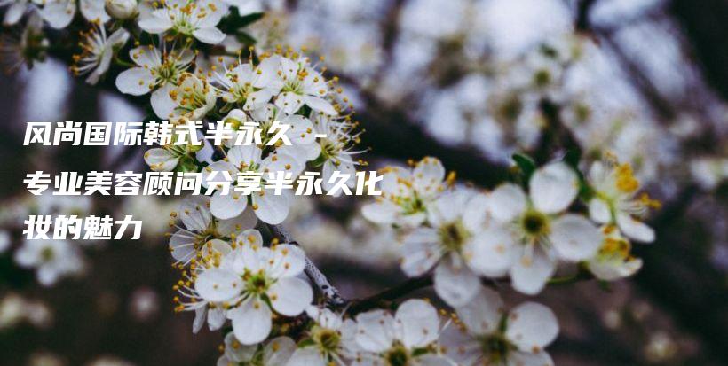 風(fēng)尚國際韓式半永久 – 專業(yè)美容顧問分享半永久化妝的魅力插圖