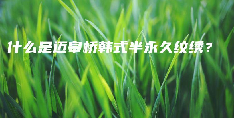 什么是邁皋橋韓式半永久紋繡？插圖