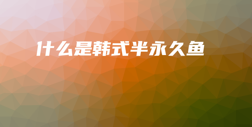 什么是韓式半永久魚插圖