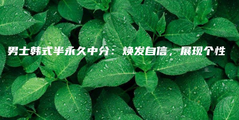 男士韓式半永久中分：煥發(fā)自信，展現(xiàn)個性插圖