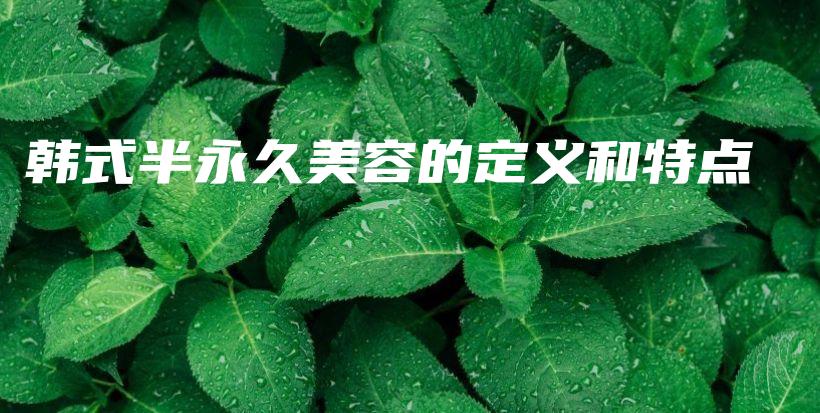 韓式半永久美容的定義和特點插圖