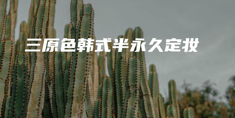 三原色韓式半永久定妝插圖