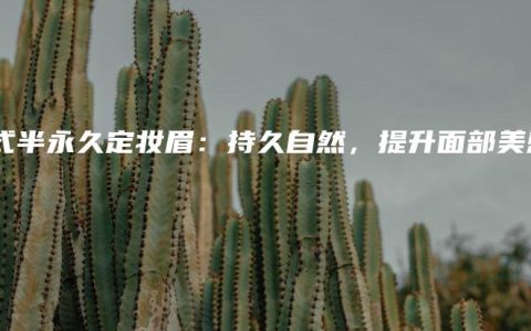 韓式半永久定妝眉：持久自然，提升面部美感