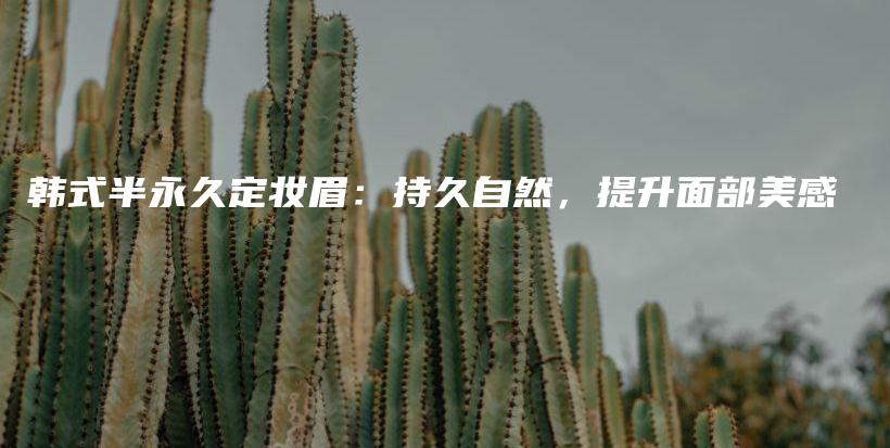 韓式半永久定妝眉：持久自然，提升面部美感插圖