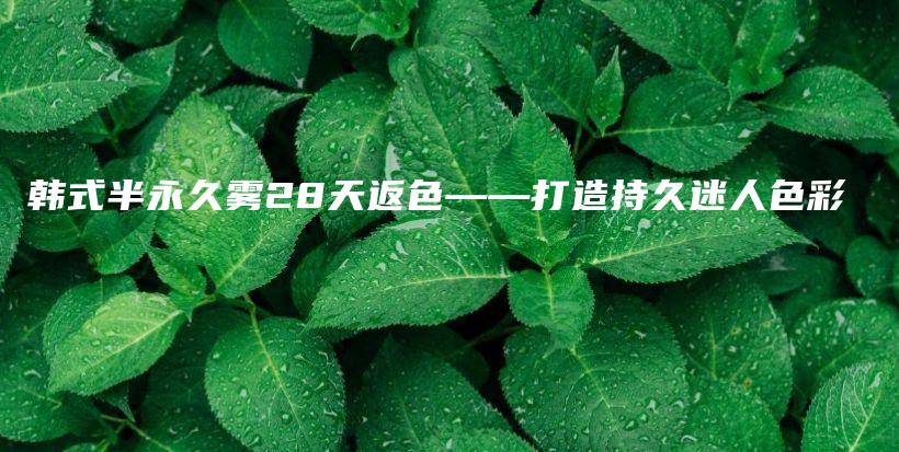 韓式半永久霧28天返色——打造持久迷人色彩插圖