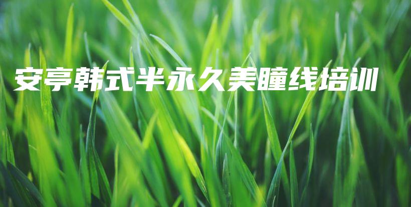 安亭韓式半永久美瞳線培訓插圖