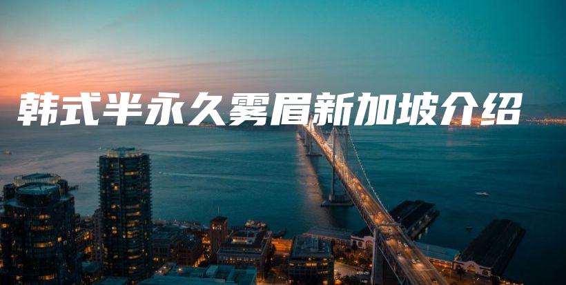 韓式半永久霧眉新加坡介紹插圖