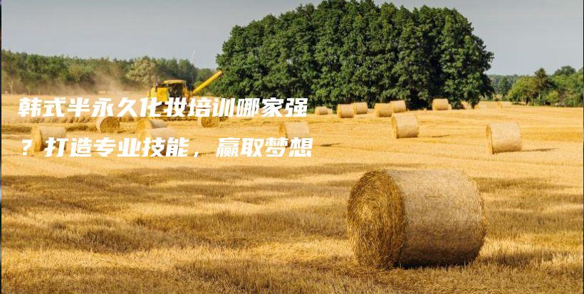 韓式半永久化妝培訓(xùn)哪家強(qiáng)？打造專業(yè)技能，贏取夢想插圖