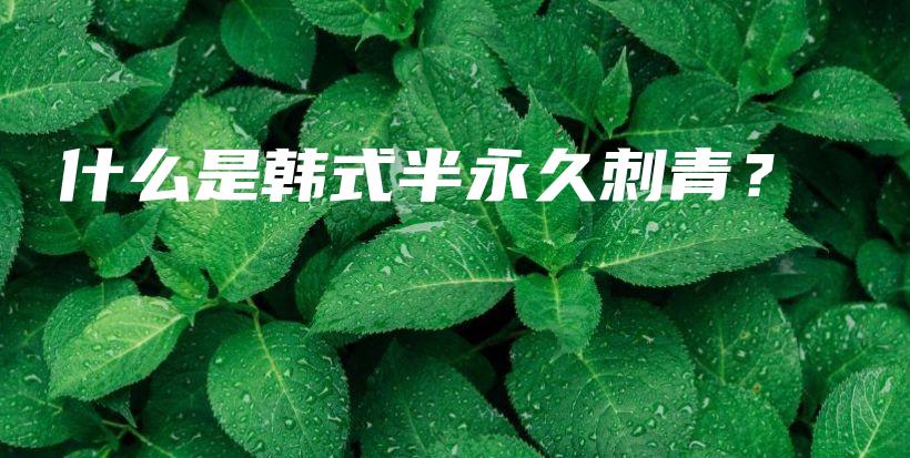 什么是韓式半永久刺青？插圖