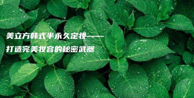 美立方韓式半永久定妝——打造完美妝容的秘密武器插圖