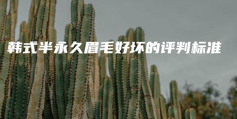 韓式半永久眉毛好壞的評判標(biāo)準(zhǔn)插圖