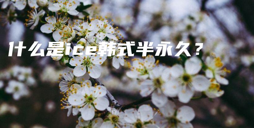 什么是ice韓式半永久？插圖