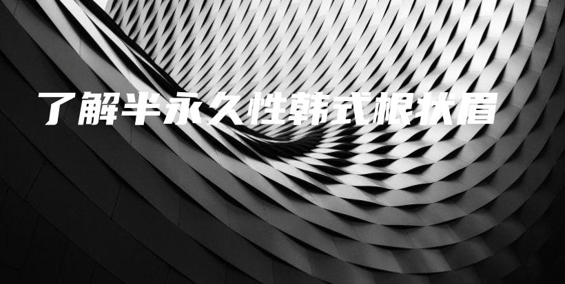 了解半永久性韓式根狀眉插圖