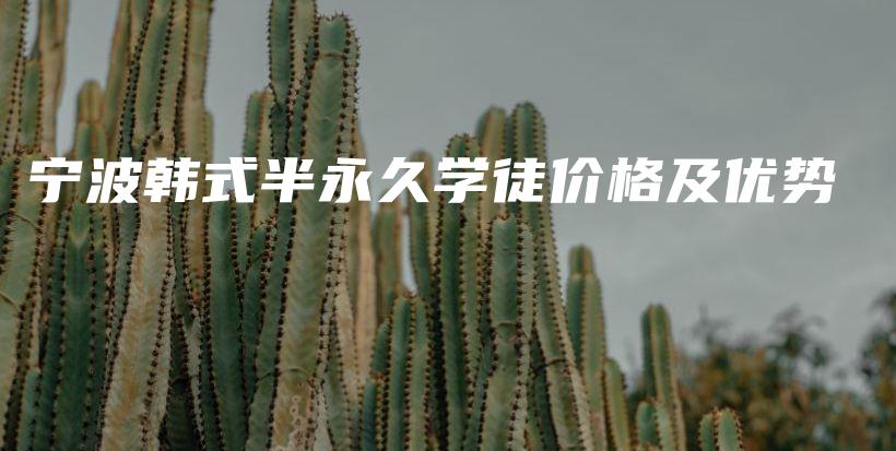 寧波韓式半永久學(xué)徒價(jià)格及優(yōu)勢(shì)插圖