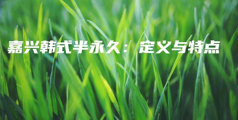 嘉興韓式半永久：定義與特點(diǎn)插圖