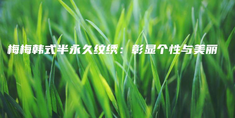 梅梅韓式半永久紋繡：彰顯個性與美麗插圖