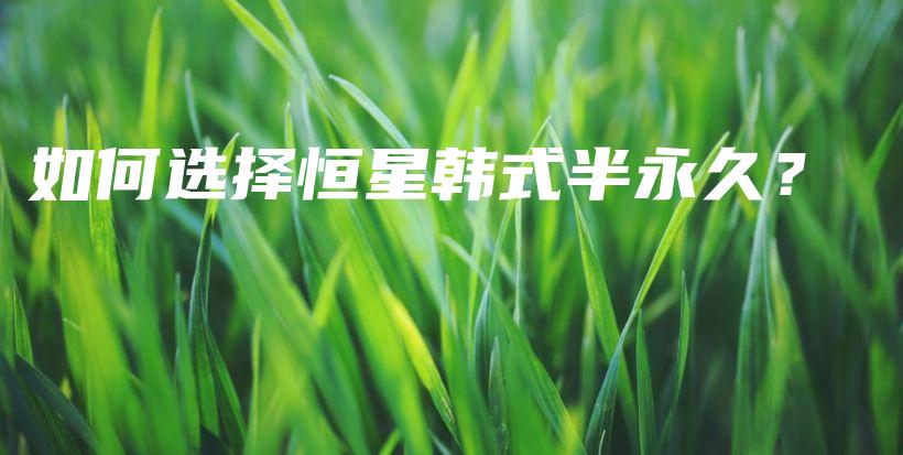 如何選擇恒星韓式半永久？插圖