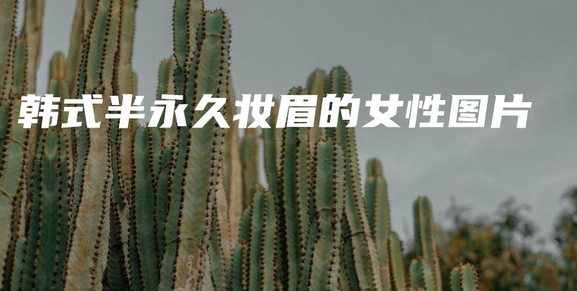 韓式半永久妝眉的女性圖片插圖