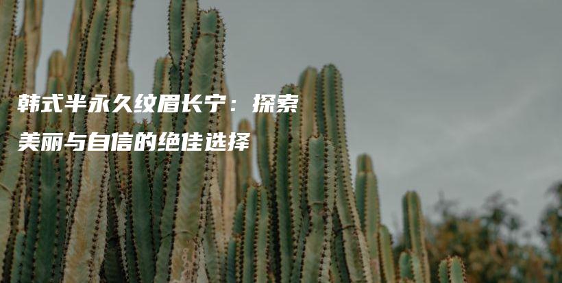 韓式半永久紋眉長(zhǎng)寧：探索美麗與自信的絕佳選擇插圖